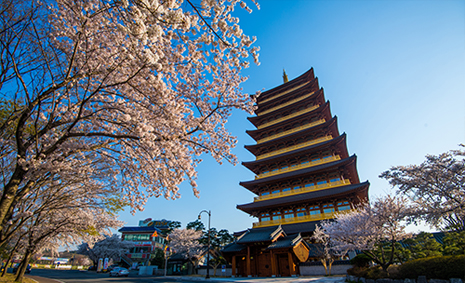 Recipe for Health and Relaxation in the Ancient Capital, Conmaul Gyeungju Oriental Hospital
